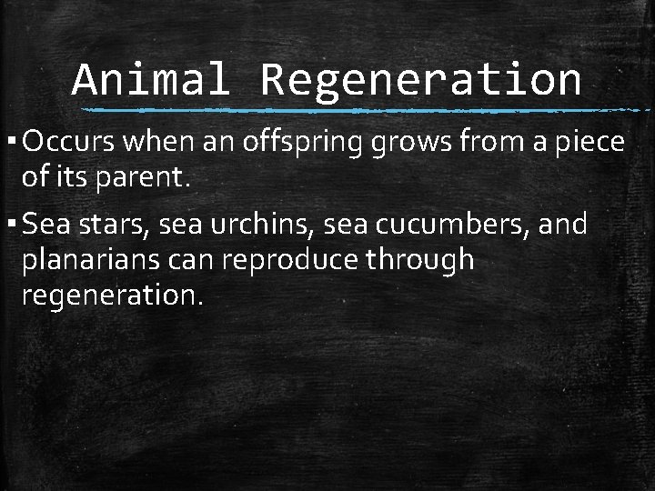 Animal Regeneration ▪ Occurs when an offspring grows from a piece of its parent.
