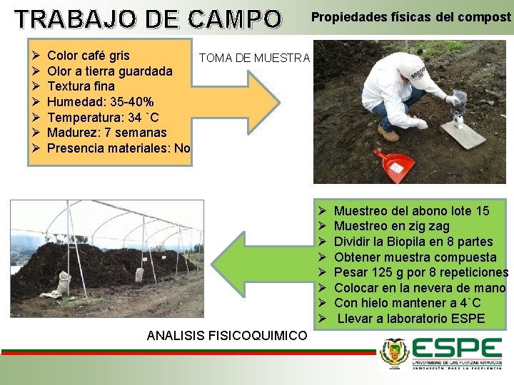 TRABAJO DE CAMPO Ø Ø Ø Ø Propiedades físicas del compost Color café gris