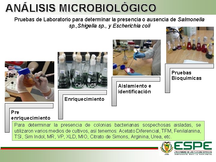 ANÁLISIS MICROBIOLÓGICO Pruebas de Laboratorio para determinar la presencia o ausencia de Salmonella sp.