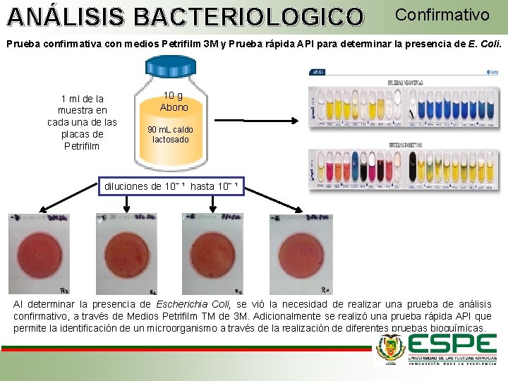 ANÁLISIS BACTERIOLOGICO Confirmativo Prueba confirmativa con medios Petrifilm 3 M y Prueba rápida API