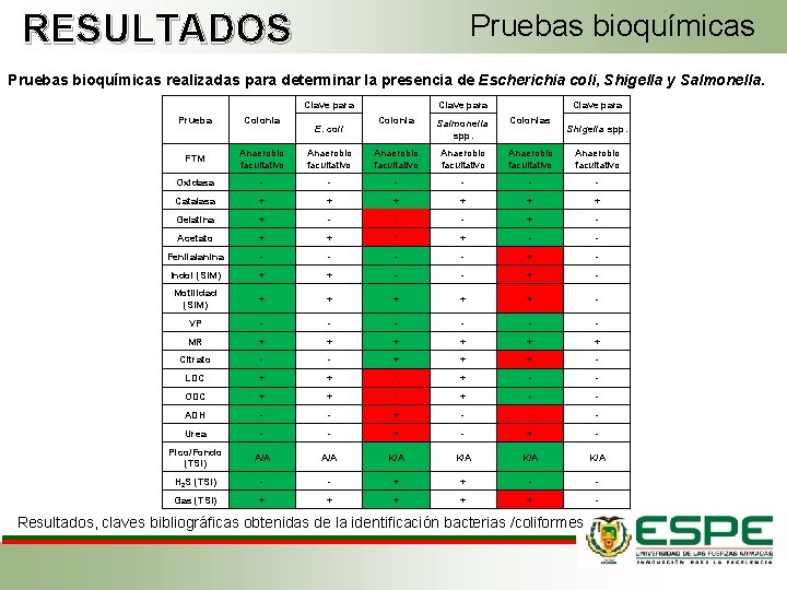 RESULTADOS Pruebas bioquímicas realizadas para determinar la presencia de Escherichia coli, Shigella y Salmonella.