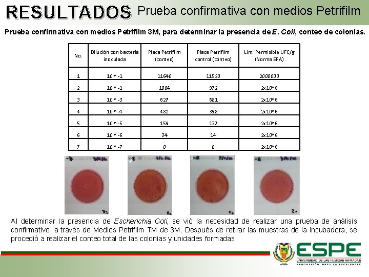 RESULTADOS Prueba confirmativa con medios Petrifilm 3 M, para determinar la presencia de E.