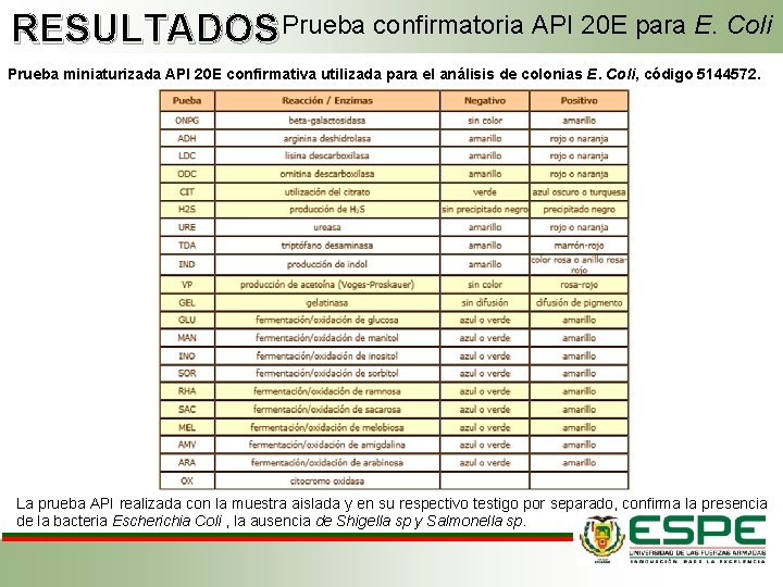 RESULTADOS Prueba confirmatoria API 20 E para E. Coli Prueba miniaturizada API 20 E