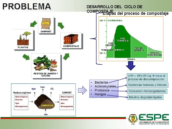 PROBLEMA DESARROLLO DEL CICLO DE COMPOSTAJE Etapas del proceso de compostaje 