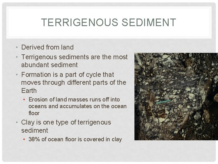 TERRIGENOUS SEDIMENT • Derived from land • Terrigenous sediments are the most abundant sediment TERRIGENOUS SEDIMENT • Derived from land • Terrigenous sediments are the most abundant sediment