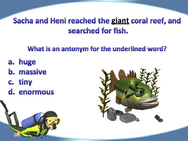 Sacha and Heni reached the giant coral reef, and searched for fish. What is