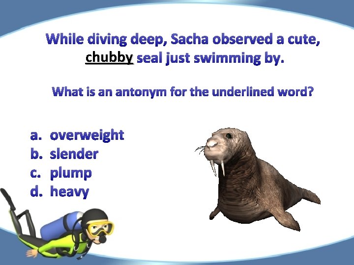 While diving deep, Sacha observed a cute, chubby seal just swimming by. What is