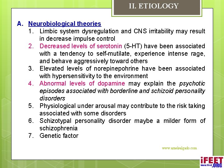 II. ETIOLOGY A. Neurobiological theories 1. Limbic system dysregulation and CNS irritability may result