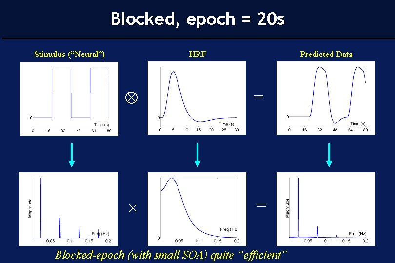 Blocked, epoch = 20 s Stimulus (“Neural”) HRF Predicted Data = = Blocked-epoch (with