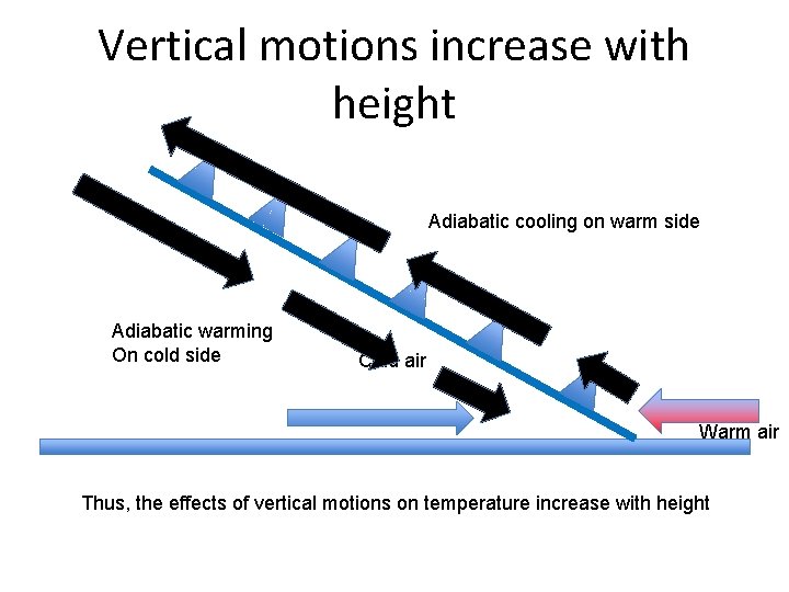 Vertical motions increase with height Adiabatic cooling on warm side Adiabatic warming On cold