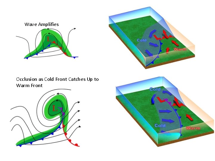 Wave Amplifies Occlusion as Cold Front Catches Up to Warm Front 