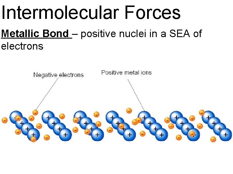 Intermolecular Forces Metallic Bond – positive nuclei in a SEA of electrons 