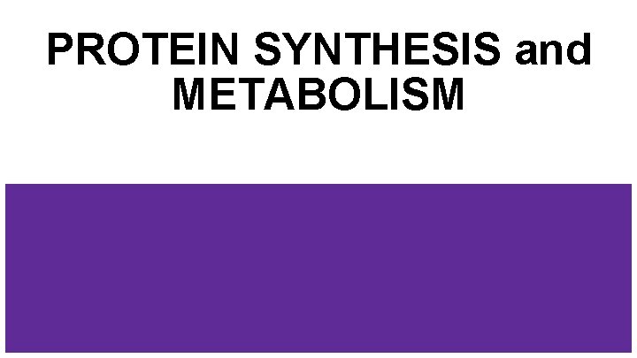 PROTEIN SYNTHESIS and METABOLISM 