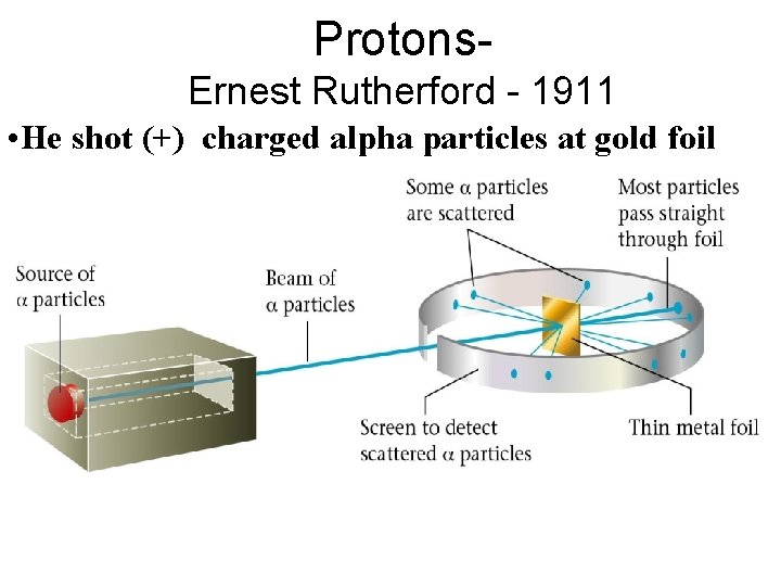 Protons. Ernest Rutherford - 1911 • He shot (+) charged alpha particles at gold Protons. Ernest Rutherford - 1911 • He shot (+) charged alpha particles at gold
