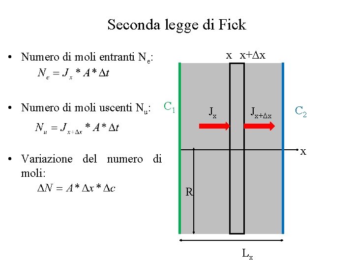 Seconda legge di Fick x x+ x • Numero di moli entranti Ne: •