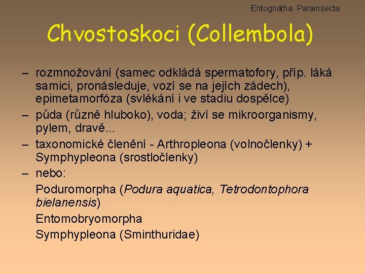 Entognatha: Parainsecta Chvostoskoci (Collembola) – rozmnožování (samec odkládá spermatofory, příp. láká samici, pronásleduje, vozí