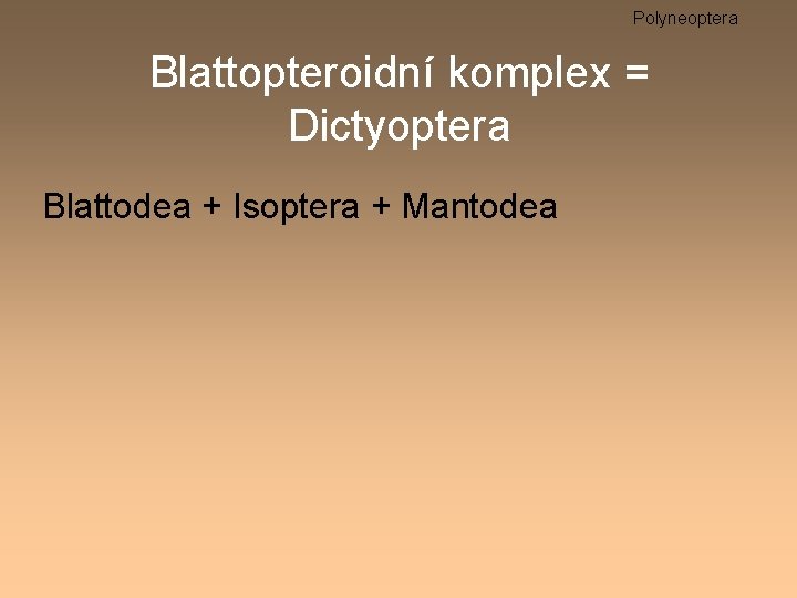 Polyneoptera Blattopteroidní komplex = Dictyoptera Blattodea + Isoptera + Mantodea 