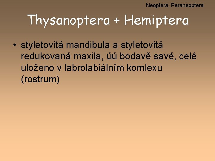 Neoptera: Paraneoptera Thysanoptera + Hemiptera • styletovitá mandibula a styletovitá redukovaná maxila, úú bodavě