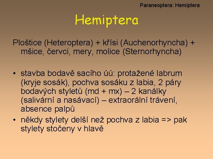 Paraneoptera: Hemiptera Ploštice (Heteroptera) + křísi (Auchenorhyncha) + mšice, červci, mery, molice (Sternorhyncha) •