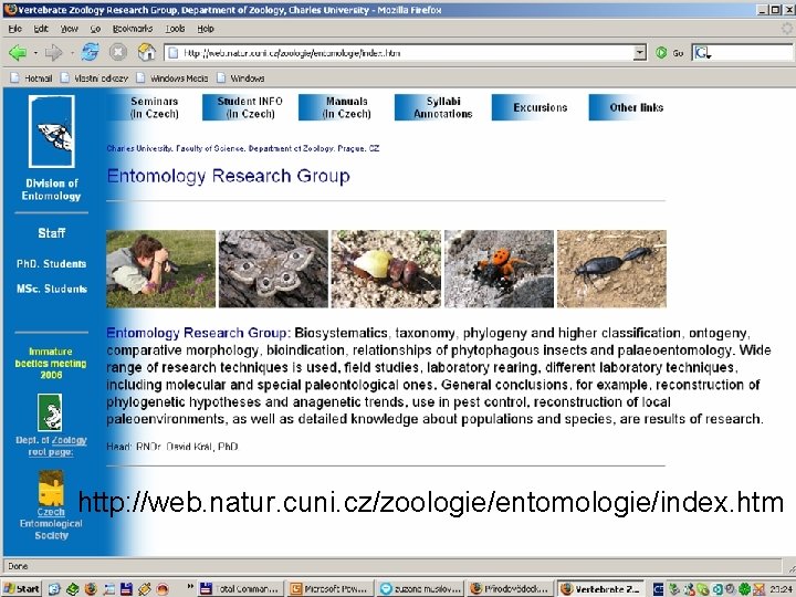 http: //web. natur. cuni. cz/zoologie/entomologie/index. htm 