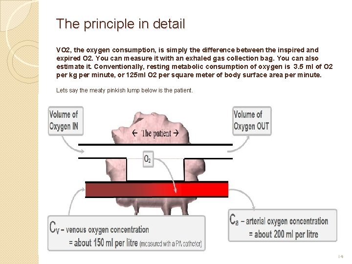 The principle in detail VO 2, the oxygen consumption, is simply the difference between