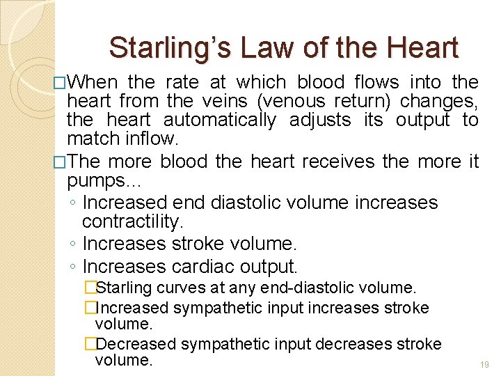 Starling’s Law of the Heart �When the rate at which blood flows into the