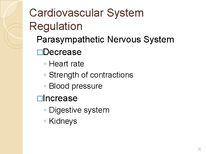 Cardiovascular System Regulation Parasympathetic Nervous System �Decrease ◦ Heart rate ◦ Strength of contractions