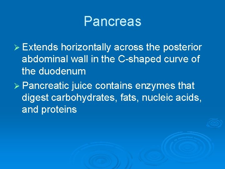 Pancreas Ø Extends horizontally across the posterior abdominal wall in the C-shaped curve of