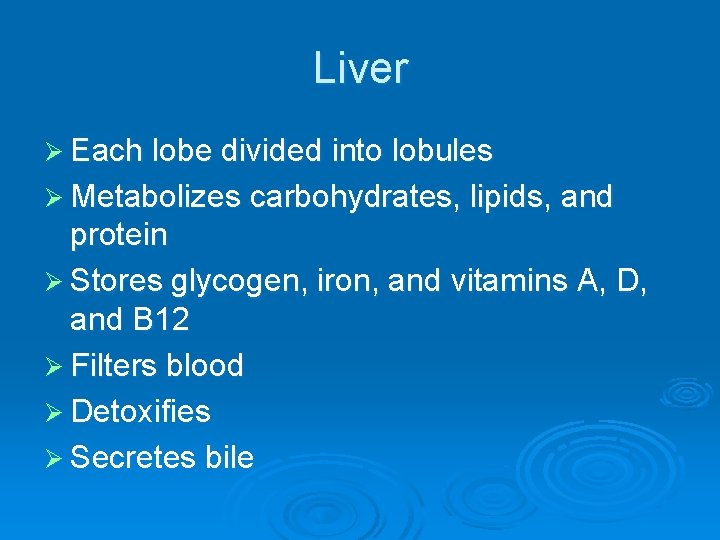 Liver Ø Each lobe divided into lobules Ø Metabolizes carbohydrates, lipids, and protein Ø