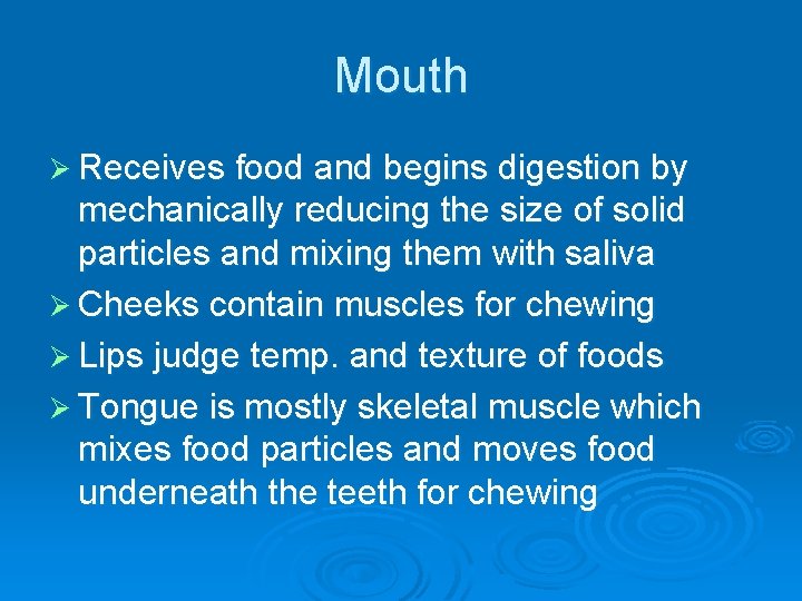 Mouth Ø Receives food and begins digestion by mechanically reducing the size of solid