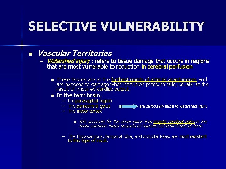 SELECTIVE VULNERABILITY n Vascular Territories – Watershed injury : refers to tissue damage that