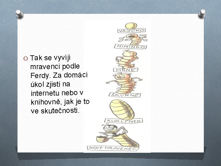 O Tak se vyvíjí mravenci podle Ferdy. Za domácí úkol zjisti na internetu nebo