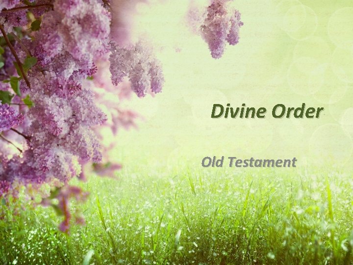 Divine Order Old Testament 