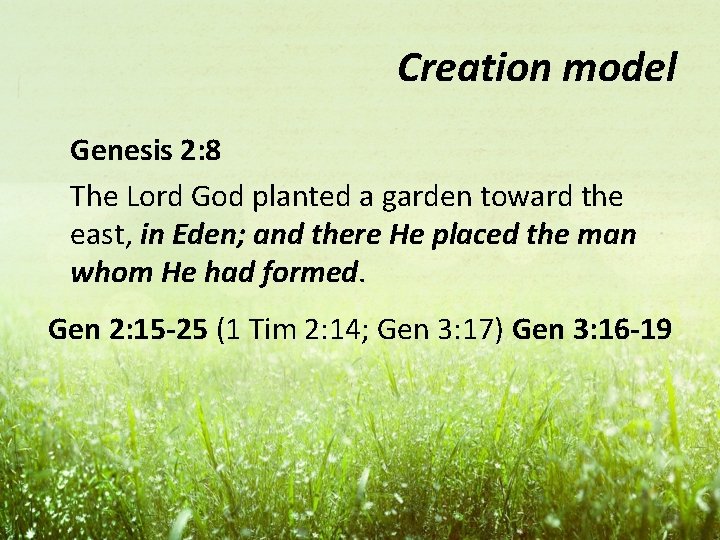 Creation model Genesis 2: 8 The Lord God planted a garden toward the east,