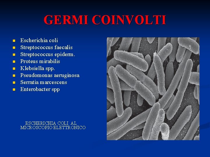 GERMI COINVOLTI n n n n Escherichia coli Streptococcus faecalis Streptococcus epiderm. Proteus mirabilis