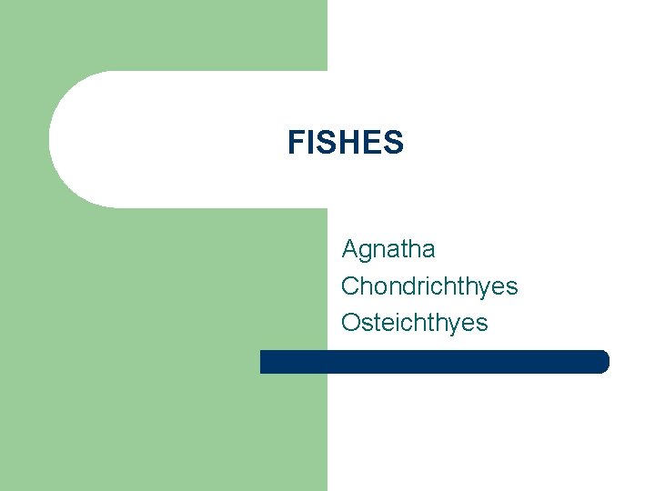 FISHES Agnatha Chondrichthyes Osteichthyes 