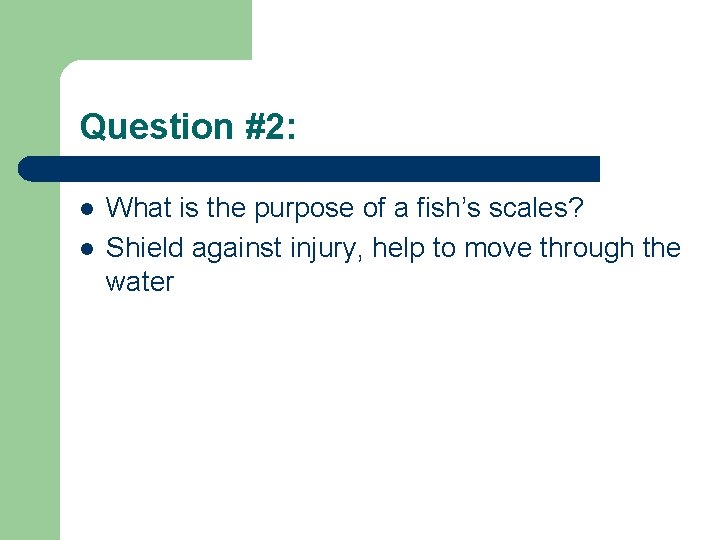 Question #2: l l What is the purpose of a fish’s scales? Shield against