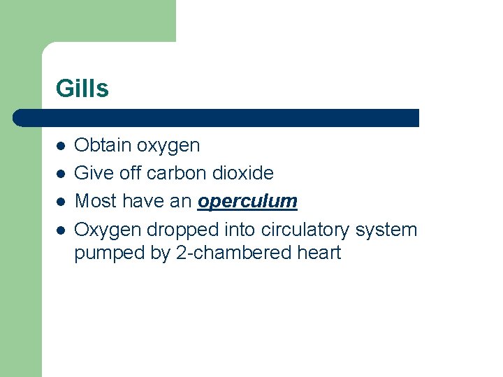 Gills l l Obtain oxygen Give off carbon dioxide Most have an operculum Oxygen