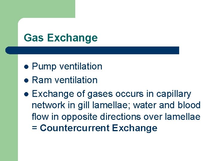 Gas Exchange Pump ventilation l Ram ventilation l Exchange of gases occurs in capillary