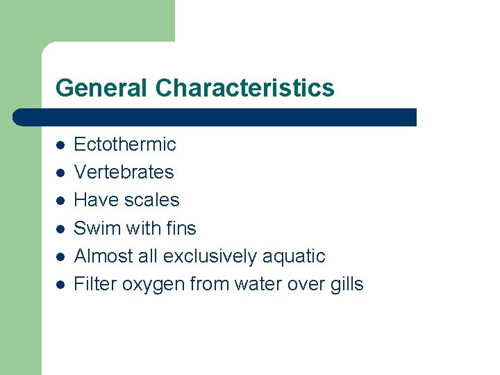 General Characteristics l l l Ectothermic Vertebrates Have scales Swim with fins Almost all