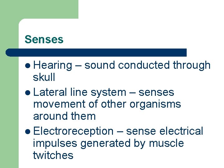 Senses l Hearing – sound conducted through skull l Lateral line system – senses