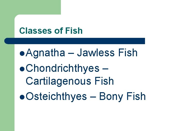 Classes of Fish l Agnatha – Jawless Fish l Chondrichthyes – Cartilagenous Fish l