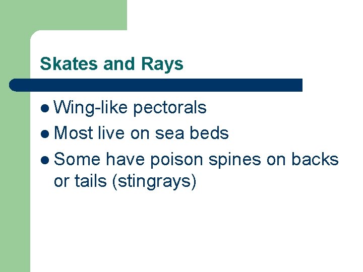 Skates and Rays l Wing-like pectorals l Most live on sea beds l Some