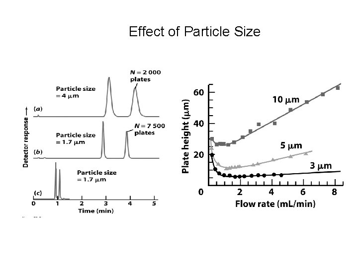 Effect of Particle Size 