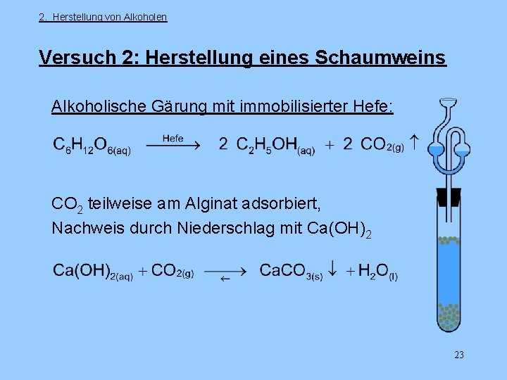 2. Herstellung von Alkoholen Versuch 2: Herstellung eines Schaumweins Alkoholische Gärung mit immobilisierter Hefe: