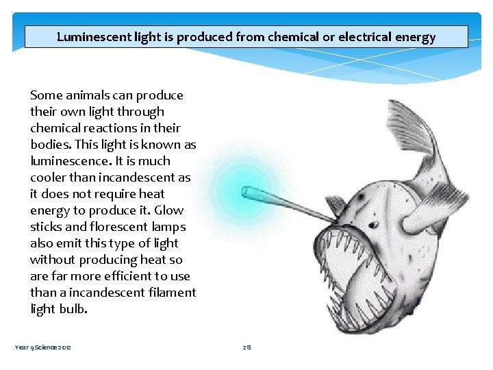 Luminescent light is produced from chemical or electrical energy Some animals can produce their