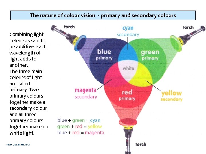 The nature of colour vision - primary and secondary colours Combining light colours is