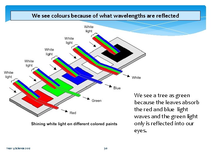 We see colours because of what wavelengths are reflected We see a tree as
