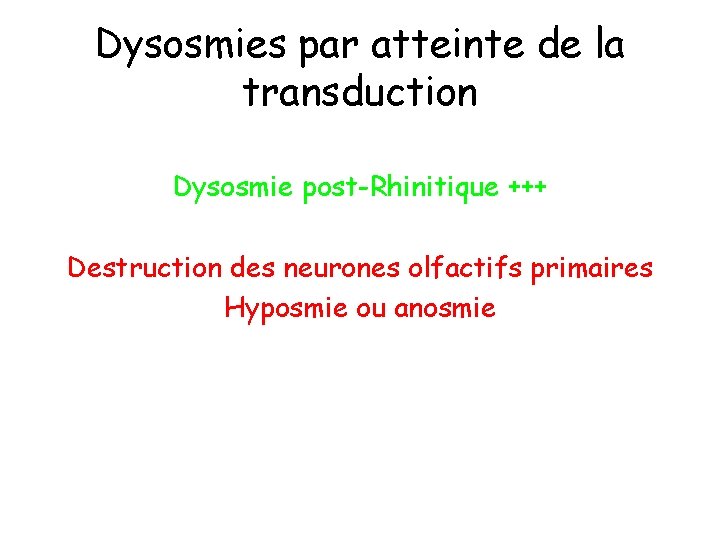 Dysosmies par atteinte de la transduction Dysosmie post-Rhinitique +++ Destruction des neurones olfactifs primaires