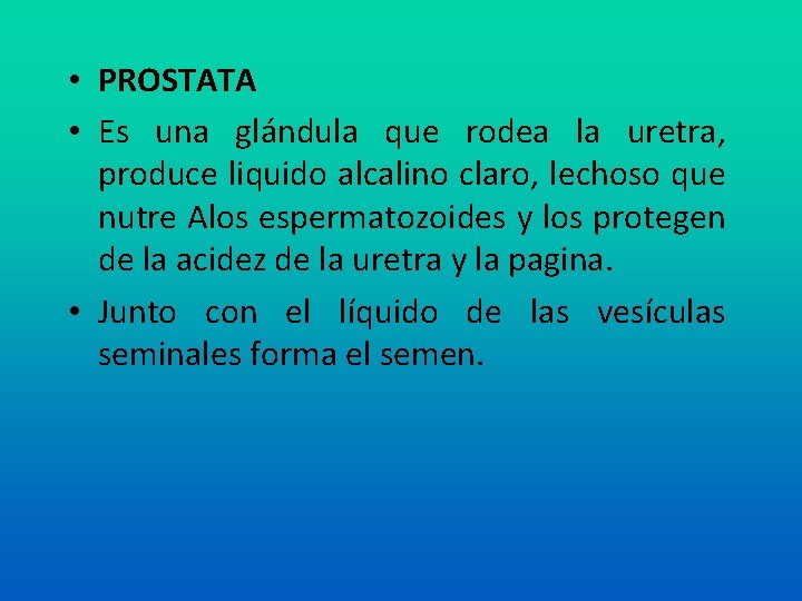  • PROSTATA • Es una glándula que rodea la uretra, produce liquido alcalino